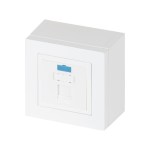 Рабочее место для точки доступа, наст. исп., 84&times;84, <nobr>1 модуль</nobr> RJ-45, категория 5e UTP, <nobr>цвет белый</nobr>