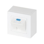 Рабочее место для точки доступа, наст. исп., 84&times;84, <nobr>1 модуль</nobr> RJ-45, категория 5e STP, <nobr>цвет белый</nobr>